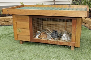 rabbit hutch 5